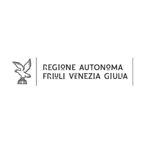 fvg